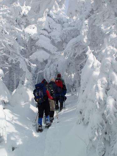 hikers on snowy trail to Mount Cabot in New Hampshire