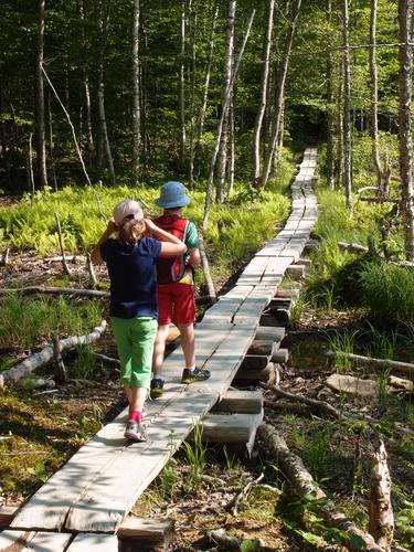 young hikers on the way to Cadillac Mountain on the Tarn Trail at Acadia National Park in Maine