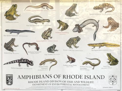 poster at Caratunk Wildlife Refuge in eastern Massachusetts