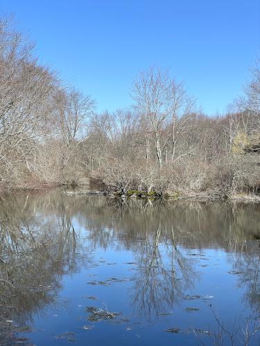 Muskrat Pond in March at Caratunk Wildlife Refuge in eastern Massachusetts