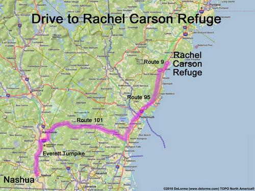 Rachel Carson Refuge drive route