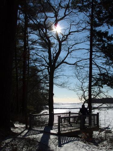 winter visitor and view at Rachel Carson National Wildlife Refuge near Wells in coastal Maine