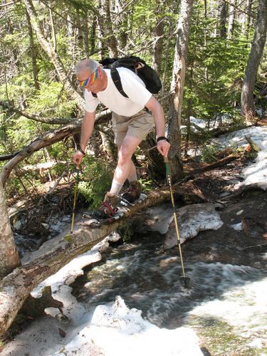 spring mountain hiker in shorts and snowshoes on the trail to Carter Mountain in New Hampshire