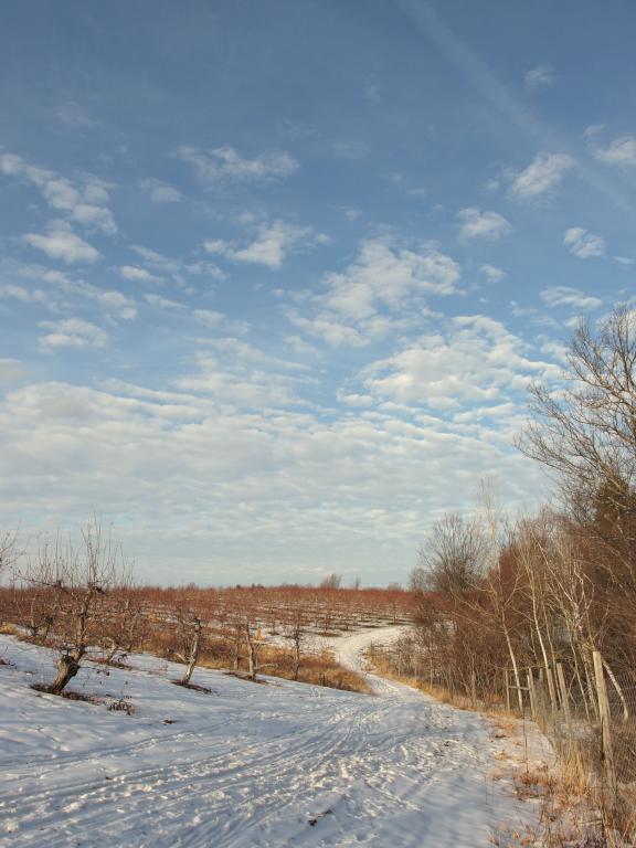 trail in January at Carter Hill Orchard near Concord in southern New Hampshire