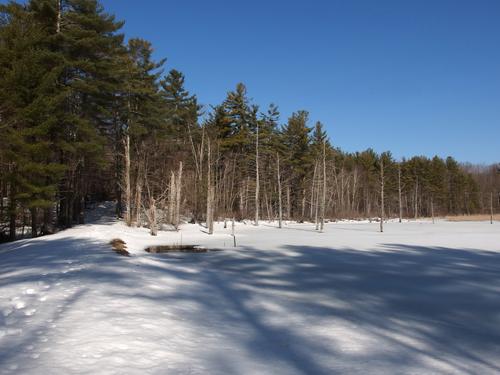 view of Casalis Marsh at Casalis State Forest near Peterborough in southern New Hampshire