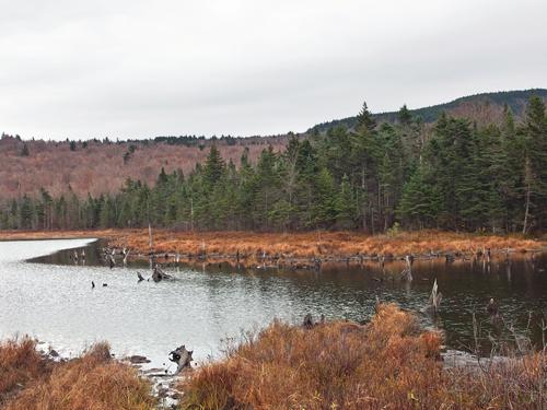 hike start to Catalouchee Mountain in New Hampshire