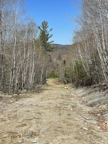 Kimball Hill Road in May at Catalouchee Mountain North in New Hampshire