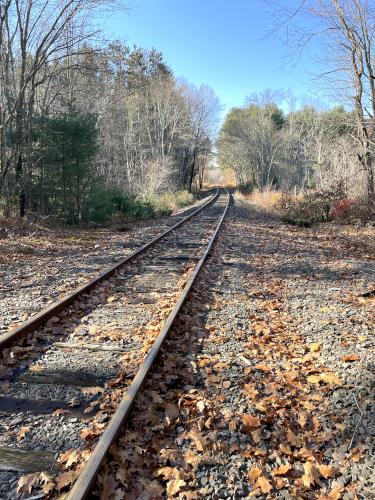 railroad bed in November at Cedar Hill in eastern MA