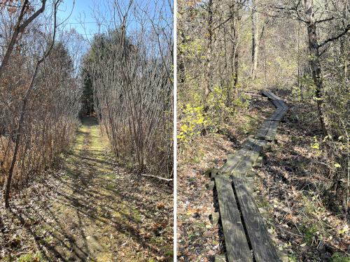 trails in November at Cedar Hill in eastern MA
