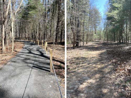 trails in March at Cedar Pond Wildlife Sanctuary in northeast MA