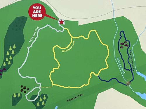 trail map of Manchester Cedar Swamp in southern NH