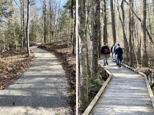trail in March at Manchester Cedar Swamp in southern NH