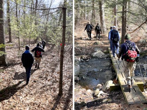trail in March at Manchester Cedar Swamp in southern NH