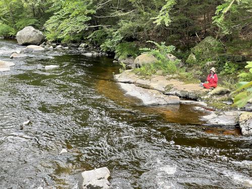 meditating in August beside the Quinepoxet River near the Mass Central Rail Trail at Holden in eastern Massachusetts