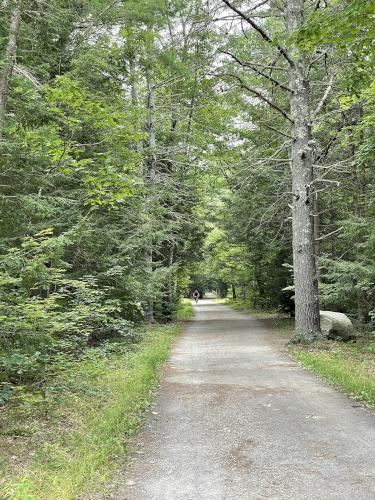 Mass Central Rail Trail in August at Holden in eastern Massachusetts