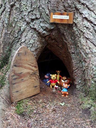 a home for Winnie the Pooh at Chamberlain-Reynolds Memorial Forest in New Hampshire