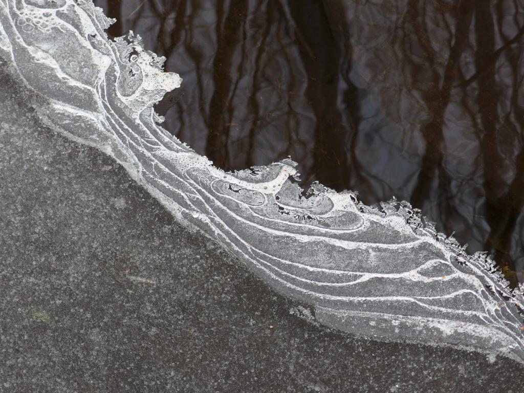 stream-edge ice artwork in January at Champlin Forest near Rochester in southeastern New Hampshire