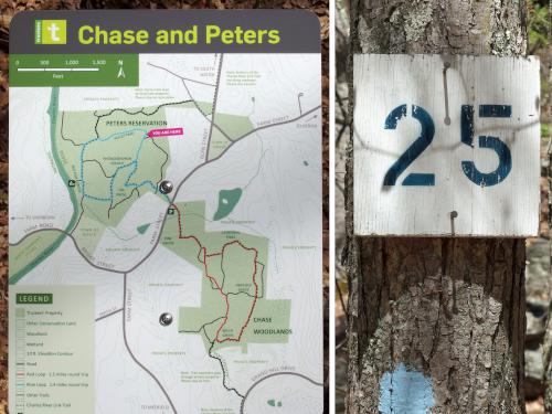 typcial trail junction signage at Chase Woodlands and Peters Reservation in northeast Massachusetts