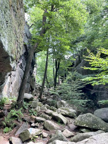 trail in June at Purgatory Chasm in southern Massachusetts