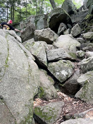 Chasm Loop trail in June at Purgatory Chasm in southern Massachusetts