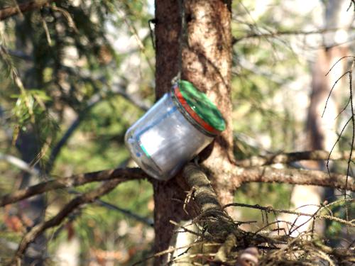 hiker register jar atop Cilley Northwest Mount in New Hampshire