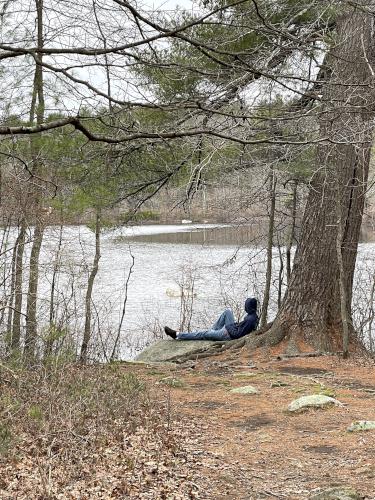 hiker in March at Harold B. Clark Town Forest in eastern Massachusetts