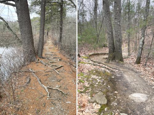 trails in March at Harold B. Clark Town Forest in eastern Massachusetts