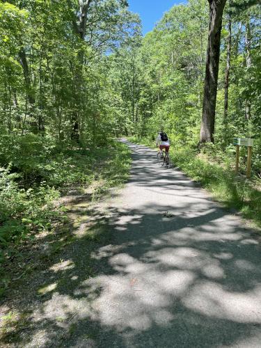 Ghost Trail in June near Clipper City Trail in northeast Massachusetts