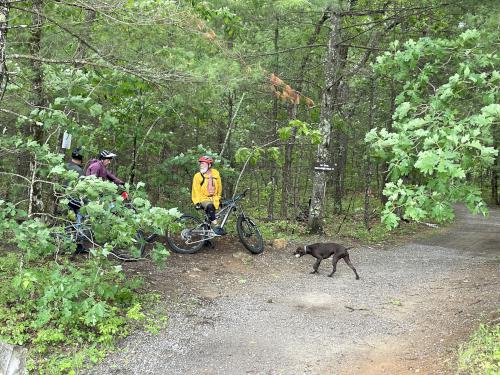 bikers in June at Clyde Pond Trails near Windham in southern NH