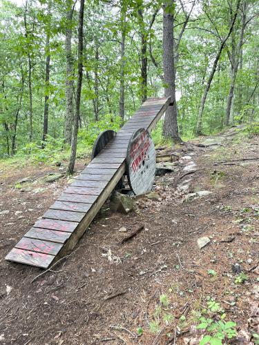 bike seesaw in June at Clyde Pond Trails near Windham in southern NH