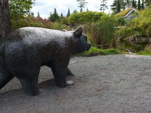 a realistic bear sculpture heads for the gardens in September at Coastal Maine Botanical Gardens