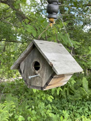 birdhouse in June at Colebrook River Walk in northern New Hampshire