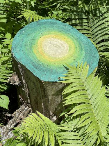 painted stump in June at Colebrook River Walk in northern New Hampshire