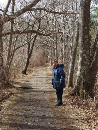 path through Coolidge Reservation in northeastern Massachusetts