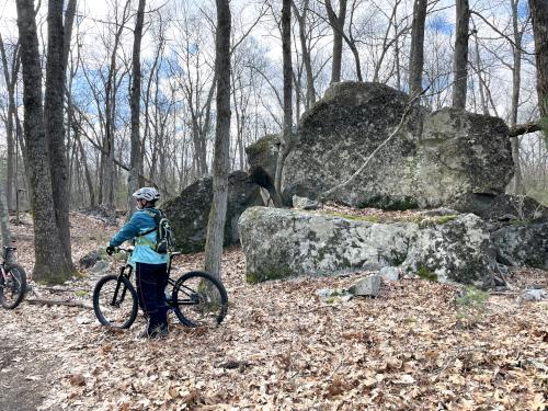 bikers and boulder field in April at Cormier Woods in eastern Massachusetts