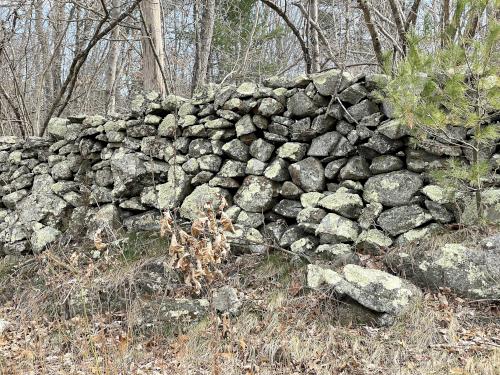 stone wall in April at Cormier Woods in eastern Massachusetts