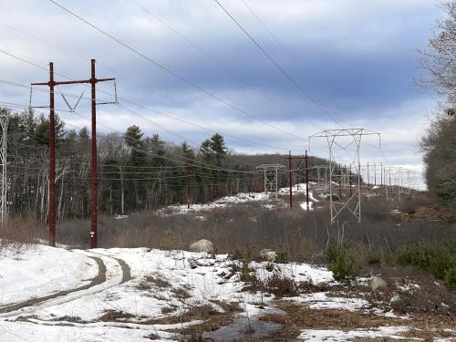 powerline swath at Costa Conservation Area in southeast NH