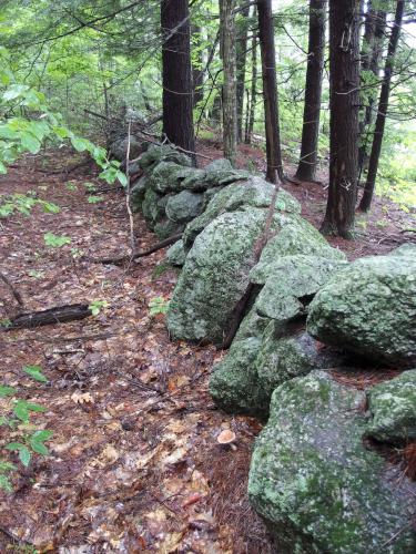 stone wall at Cottrell Forest near Hillsboro in southern New Hampshire