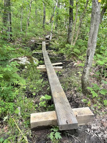 foot bridges in June at Covell Mountain in northern New Hampshire