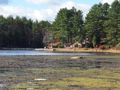 Cranberry Meadow Pond (at low water level) near Peterborough in southern New Hampshire