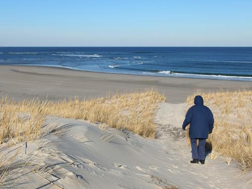 in January at low tide Betty Lou exits the Yellow Trail, going from sand dunes to tidal flats on Crane Beach in Massachusetts