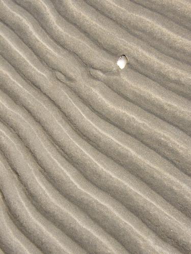 low-tide sand pattern at Crane Beach in Massachusetts