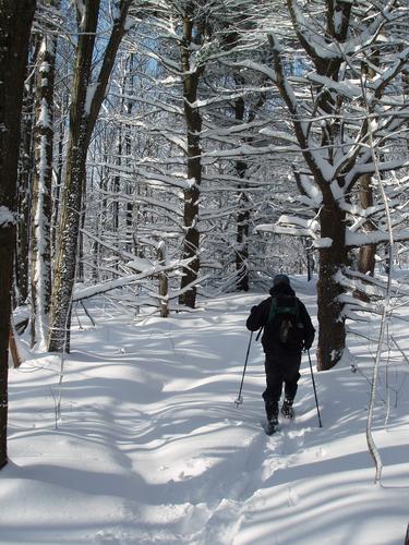 hiker on the snowy trail to Crotched Mountain in New Hampshire