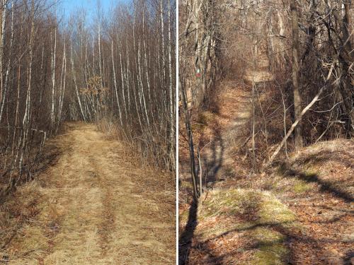 trail segments in January to Crow Hill at Worcester in eastern Massachusetts