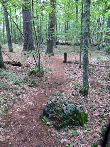 trail at Crystal Gorge at Crystal Conservation Areas in northeastern Massachusetts