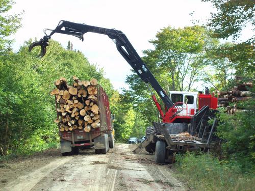 active logging in September on the lumber road to North Crystal Mountain in New Hampshire