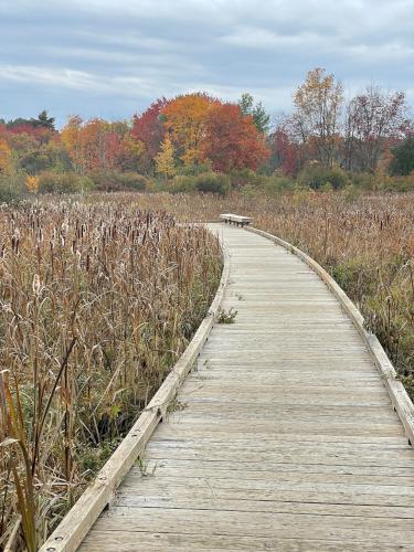 boardwalk in October into a marsh area at Mary Cummings Park in eastern Massachusetts