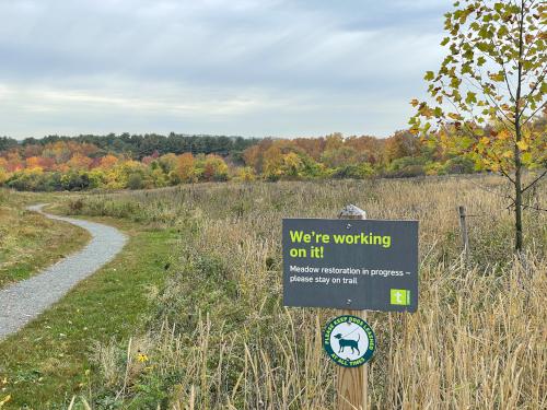 meadow restoration in October by The Trustees at Mary Cummings Park in eastern Massachusetts