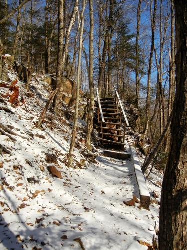 stairs on the trail through David Dana Forest in northern New Hampshire