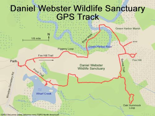 GPS track in June at Daniel Webster Wildlife Sanctuary in eastern Massachusetts